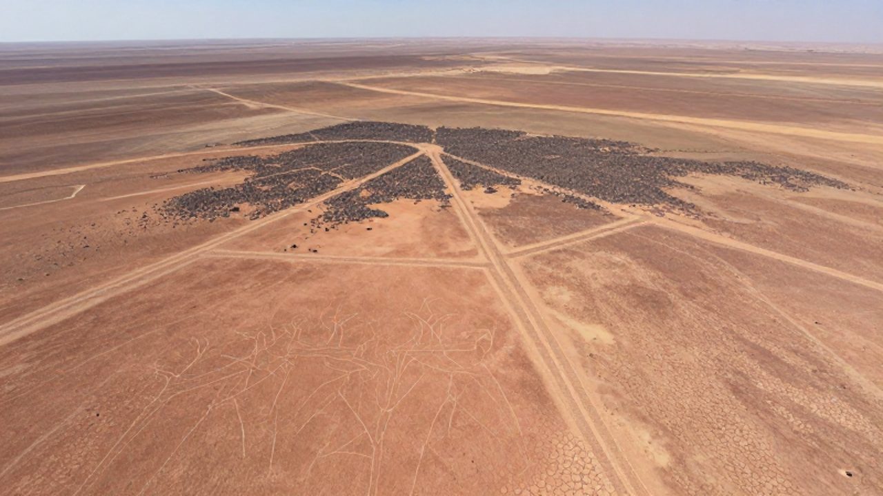 Vista aérea de un geoglifo zoomorfo trazado sobre el suelo árido y pedregoso del desierto de Nazca en Perú.